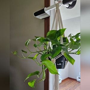 macrame plant hanger, minimalist home decor, 6 inch, handmade